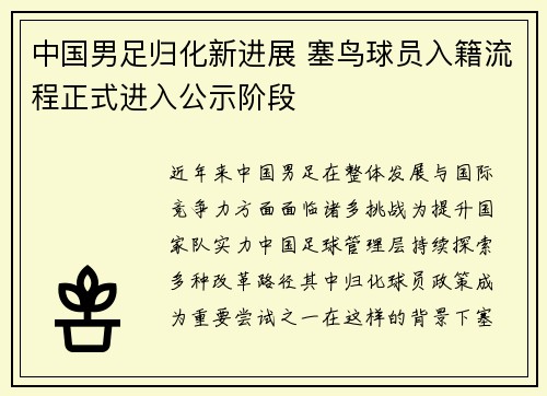中国男足归化新进展 塞鸟球员入籍流程正式进入公示阶段